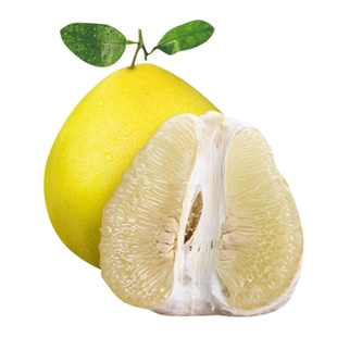 湖南怀化安江冰糖柚雪峰柚老树小苦柚药柚香柚蜜柚子金兰柚 大果