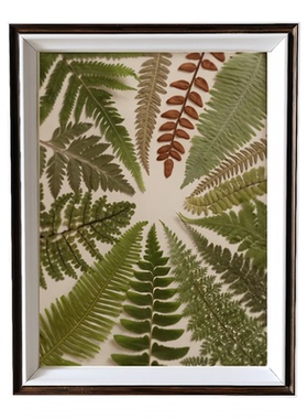 北欧植物树叶标本压花相框展示框