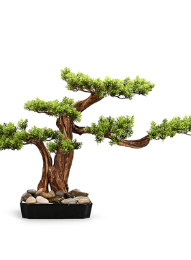 新中式风迎客松植物微景观装饰品