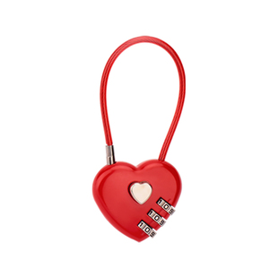 钢丝密码锁挂锁小锁小型锁头车筐链条链子锁车篮柜门防盗钢缆迷你