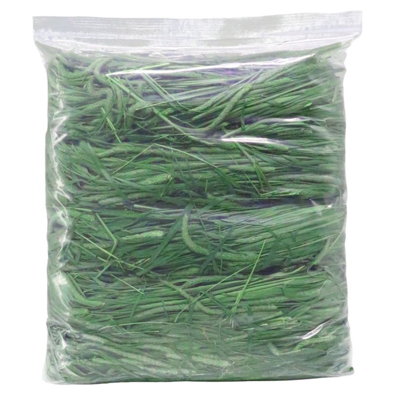 26年甘肃北提烘干提摩西草有穗草