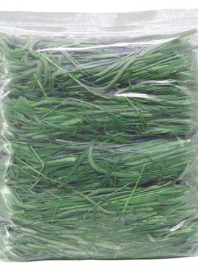 26年甘肃北提烘干提摩西草有穗草