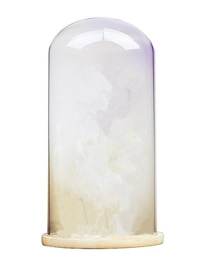 热卖玻璃罩简约现代风定制永生花