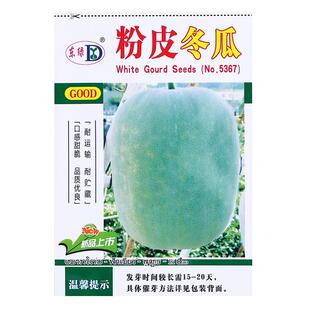 四季早熟毛节瓜苗迷你不搭架老品种粉皮冬瓜种子春夏秋季蔬菜种籽