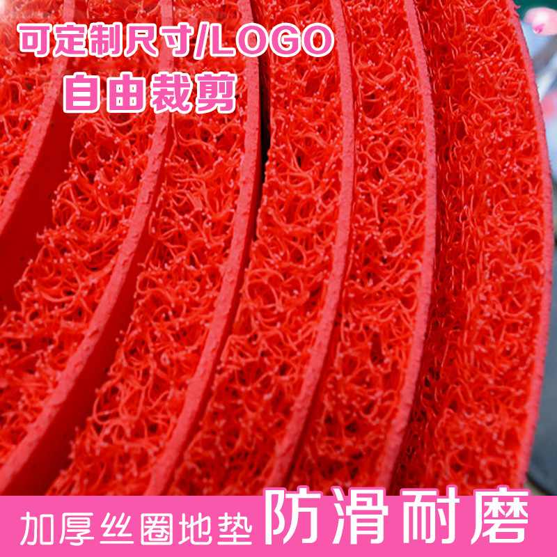 门口地垫加厚塑料丝圈脚垫大门口防滑防水地毯家用入户门垫可裁剪
