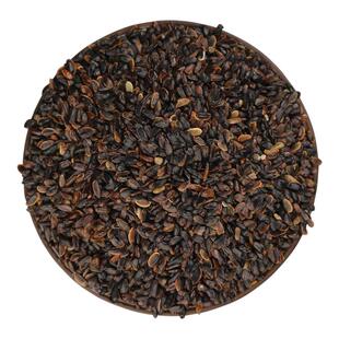 桔梗种子籽中药材四季种植泡菜狗宝咸菜种籽甘草药用食用盆栽泡茶