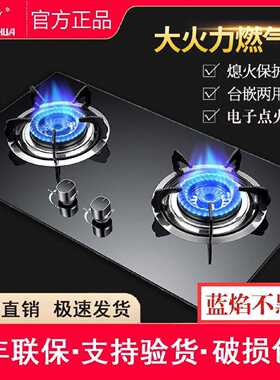 申花燃气灶煤气灶双灶头家用天然气灶液化气节能猛火台嵌二用
