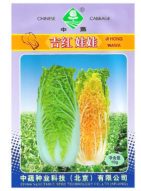 娃娃菜种子黄心白菜桔红心娃娃菜
