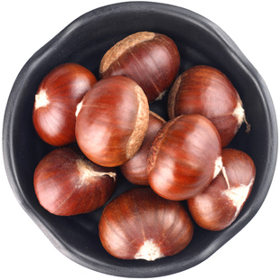 2025迁西生板栗生新鲜燕山油栗野生毛栗子大中小粒现摘粟带壳