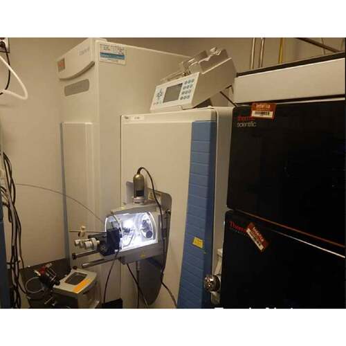 Thermo Scientific QE HF高分辨质谱，几—议价