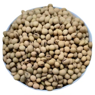 黄豆农家自种老品种打豆浆可留种非转基因2025新五谷杂粮【组合】