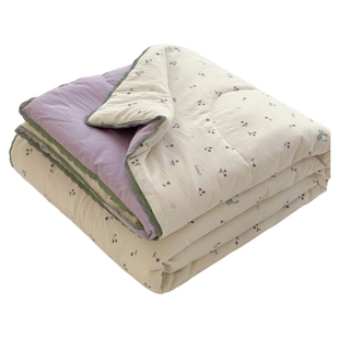 夏季双层纱夏凉被毛毯2026新款沙发毯宿舍单人午睡毯子夏被空调被