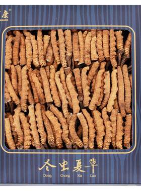 10克精选正品冬虫夏草贯康