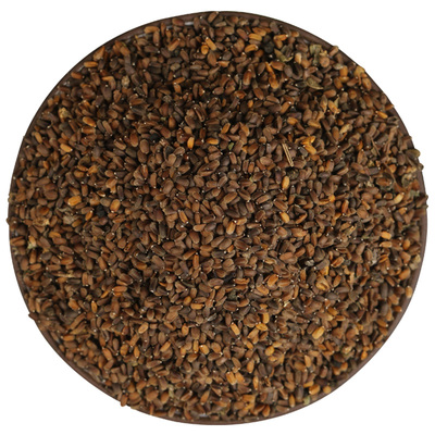 藿香种子食用新藿香叶种籽四季盆栽藿香苗炖鱼香草白芷芦巴子调料