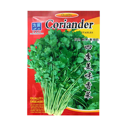 易成活四季可播大叶香菜种子盆栽