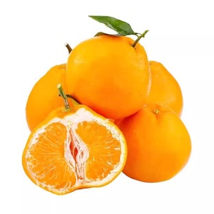 正宗四川春见耙耙柑新鲜水果粑粑柑丑八怪蜜橘桔整箱10斤礼盒顺丰