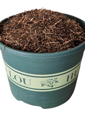 松针土种植通用营养兰花