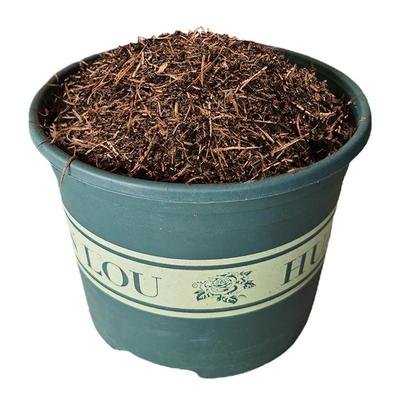 松针土种植通用营养兰花