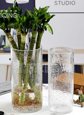 养竹子花瓶玻璃透明富贵竹转运竹银柳大号40cm高碎冰简约居家50cm