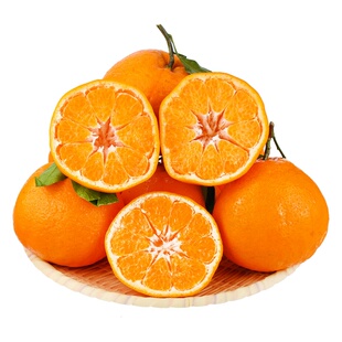 正宗四川春见耙耙柑新鲜水果当季丑八怪橘子粑粑现摘应季鲜果大果