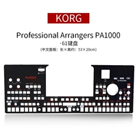 PA1000 Китайская панель