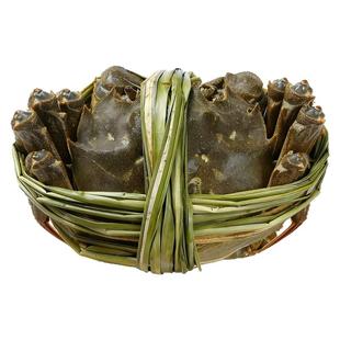 【去绳净重】江苏精品缺腿特大残蟹固城湖大闸蟹鲜活现货公母螃蟹