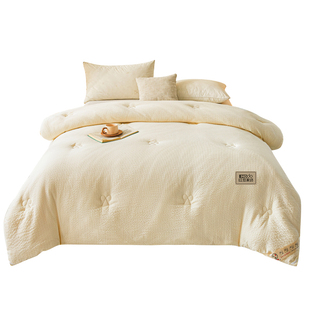 红豆大豆纤维被子春秋被宿舍单人四季通用冬被棉被夏凉被空调被芯