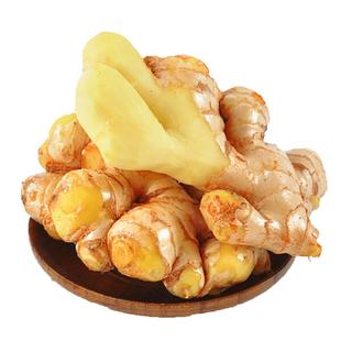 正宗云南小黄姜2025新鲜嫩姜嫩子姜现挖农家沙姜老姜生姜蔬菜批发