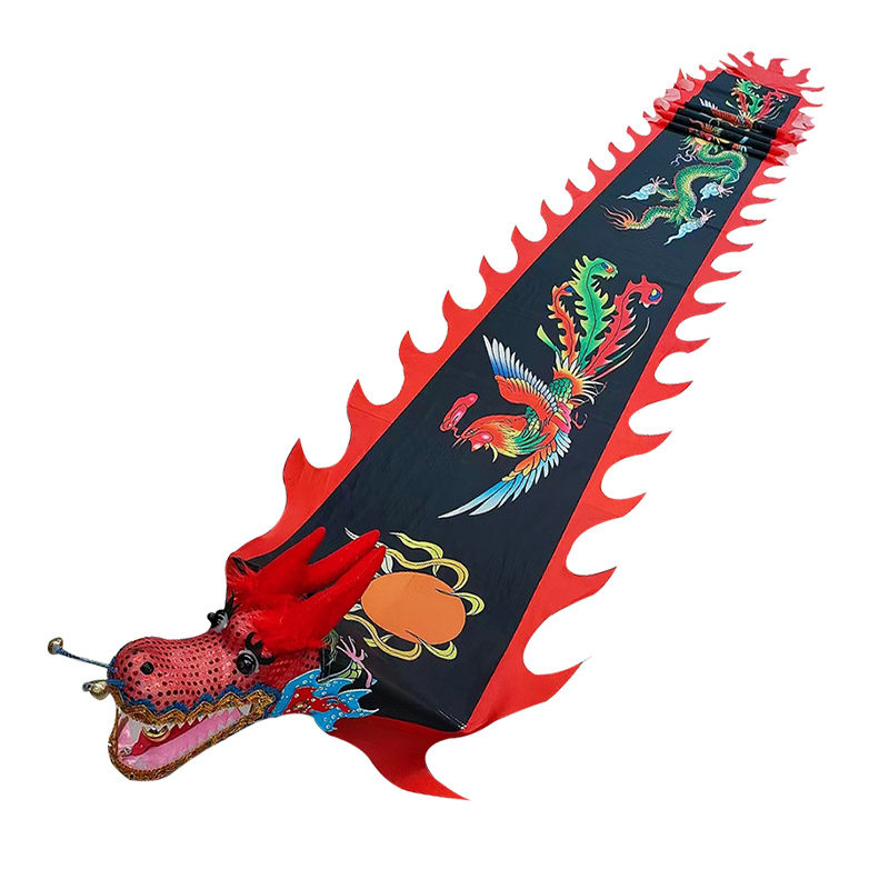 龙凤呈祥健身龙带甩彩带舞龙手洗