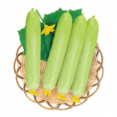 奶油水果黄瓜种子四季盆栽易种