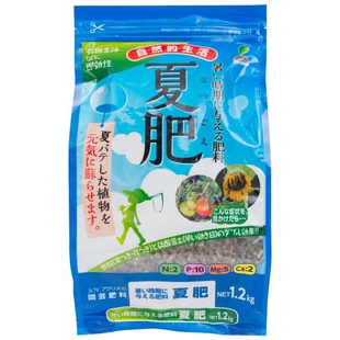 盆底石排水层沥水换盆大颗粒垫盆底防烂根透气 优质轻石 大粒底石