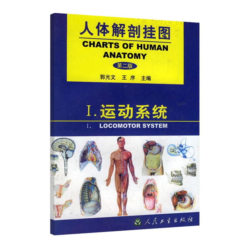 人体解剖挂图:运动系统 一图多用的方法予以展示 肋骨及肋椎连结 脊柱全貌 郭光文 序主编 9787117038027 人民卫生出版社