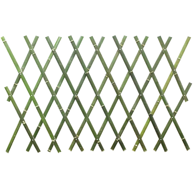 自由拉伸竹子竹韵园拉伸不变形