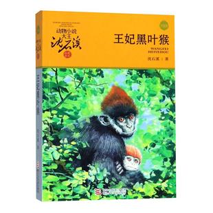 王妃黑叶猴动物小说沈石溪8-12岁儿童课外阅读故事书小学生书籍