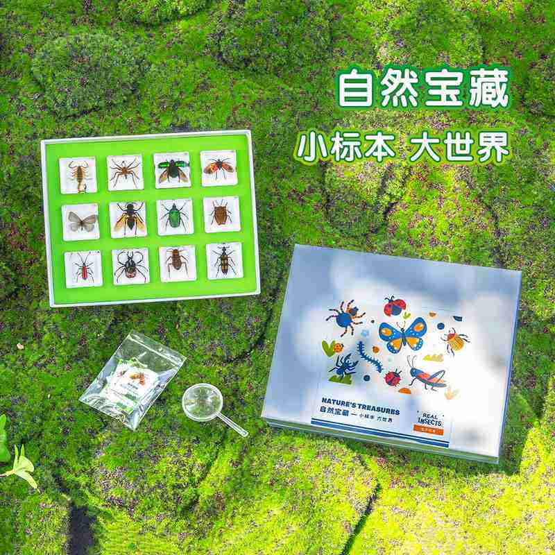 现货批发树脂昆虫标本水晶用品教学科普胶摆件工艺品自然滴幼儿园