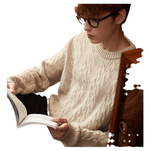 唐狮秋冬季新款麻花毛衣男士复古青少年慵懒风圆领针织毛衫潮