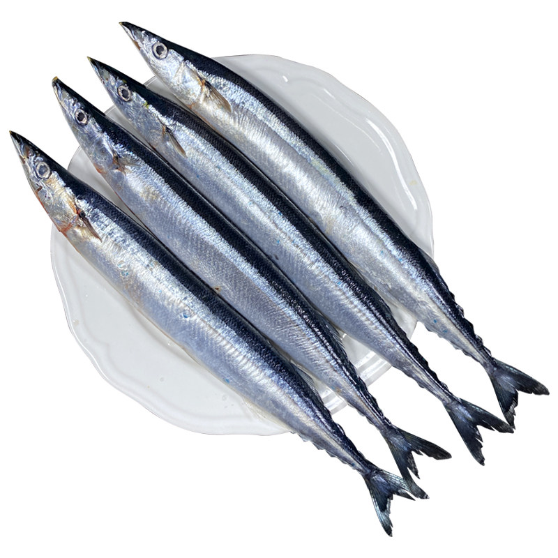 秋刀鱼新鲜冷冻3斤特大号鲜活海鱼批发商用日式烧烤食材4-5条/斤