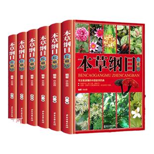 本草纲目全套6册 彩图珍藏原版中草药材大全零基础学中医基础理论教材入门图解黄帝内经全集正版李时珍原著中药医学类中医书籍大全