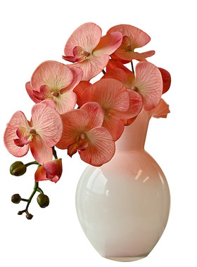 仿真花装饰花客厅蝴蝶兰