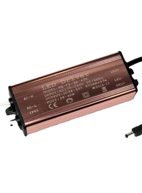 LED灯防水驱动电源 集成吊顶平板灯 吸顶灯镇流变压器8W12W18W24W
