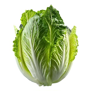 贵州农家自种大白菜香甜新鲜白菜心