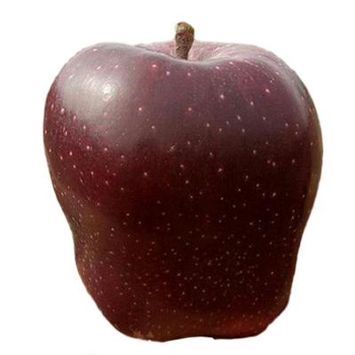 新鲜甘肃天水花牛苹果应季水果