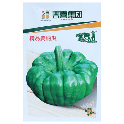 云南姜柄瓜种子南方北方小南瓜