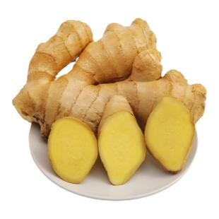 山东大姜优质生姜老姜月子姜风干姜现挖鲜姜新鲜老黄姜无残留包邮