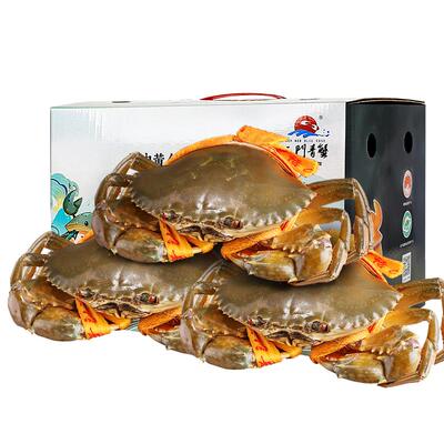 正品三门青蟹保活到家