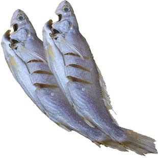 温州水产干货黄鱼干风干小黄花鱼干无头咸鱼干渔民自晒鱼干500克