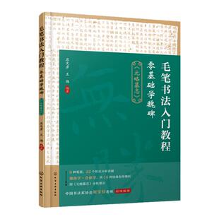 赠碑帖插页 毛笔书法入门教程 零基础学魏碑 《元略墓志》 零基础学毛笔书法技法 高效教程魏碑字体分解笔画规范讲解细致字帖清晰