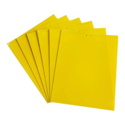 双面粘虫板贴纸有效灭杀小飞虫沾果蝇诱捕神器捉蚊子苍蝇大棚黄板