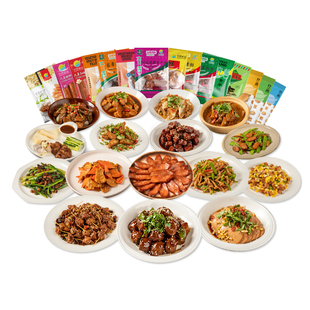 齐善素食全家福套餐佛家零食纯素素菜素肉豆制品礼盒大全厂家直销
