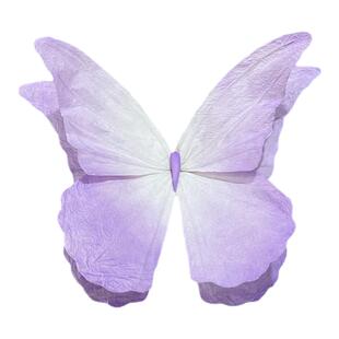 春夏季大型立体纸艺蝴蝶手工纸艺花婚礼造景商场橱窗美陈摄影装饰